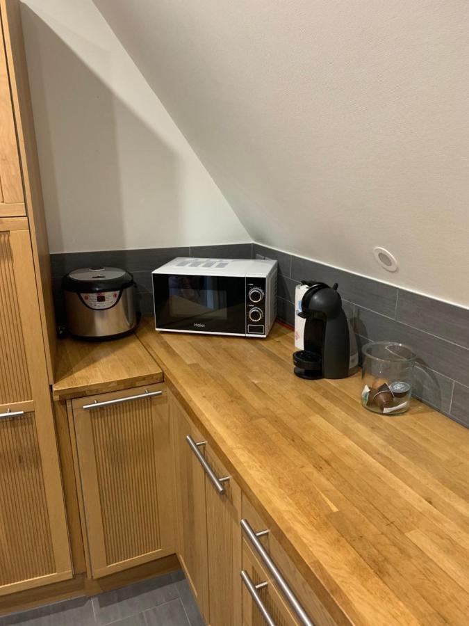 Historical Town Center Spacious Flat كولمار المظهر الخارجي الصورة