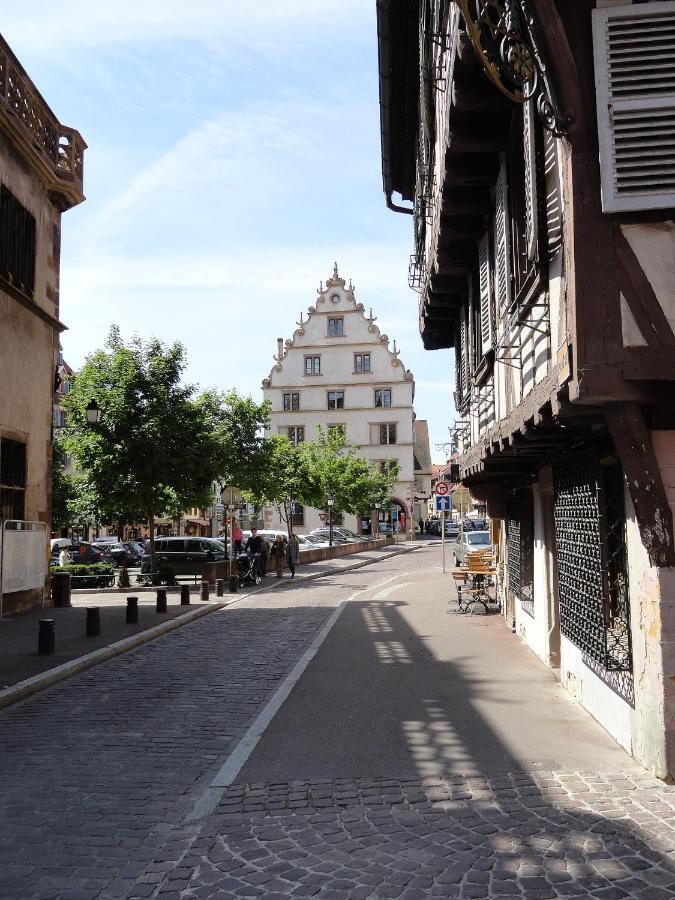 Historical Town Center Spacious Flat كولمار المظهر الخارجي الصورة