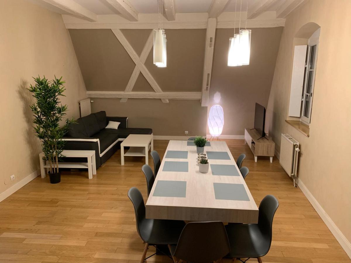 Historical Town Center Spacious Flat كولمار المظهر الخارجي الصورة
